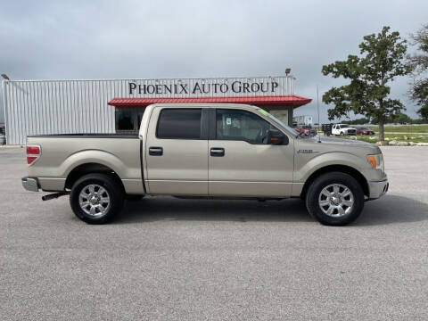 2010 Ford F-150 for sale at PHOENIX AUTO GROUP in Belton TX