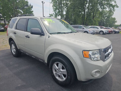 2009 Ford Escape XLT