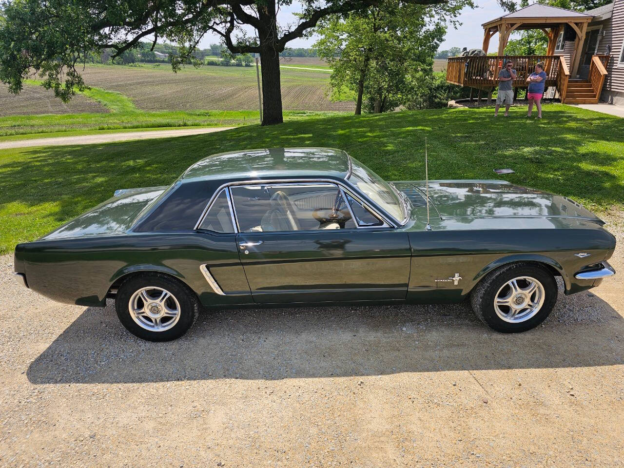 1965 Ford Mustang 12