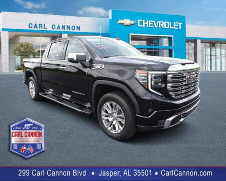 2022 GMC Sierra 1500 for sale at Carl Cannon in Jasper AL