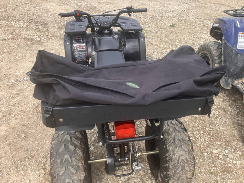 2016 Tao Tao Rhino 250