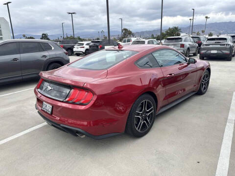 2023 Ford Mustang EcoBoost