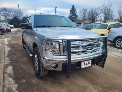 2013 Ford F-150 for sale at J & S Auto Sales in Thompson ND