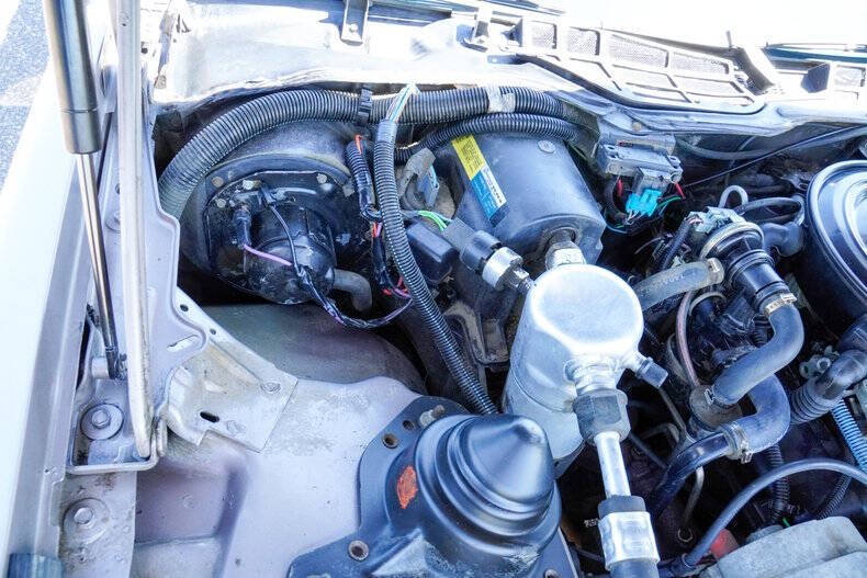 1984 Pontiac Firebird