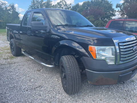2009 Ford F-150 for sale at HEDGES USED CARS in Carleton MI