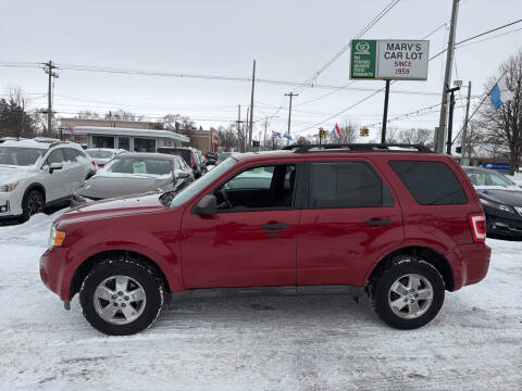 2010 Ford Escape XLT