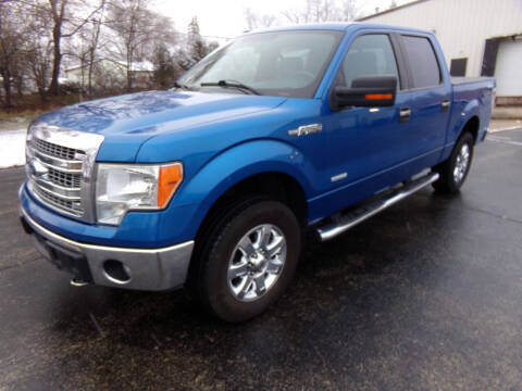 2013 Ford F-150 for sale at Rose Auto Sales & Motorsports Inc in McHenry IL