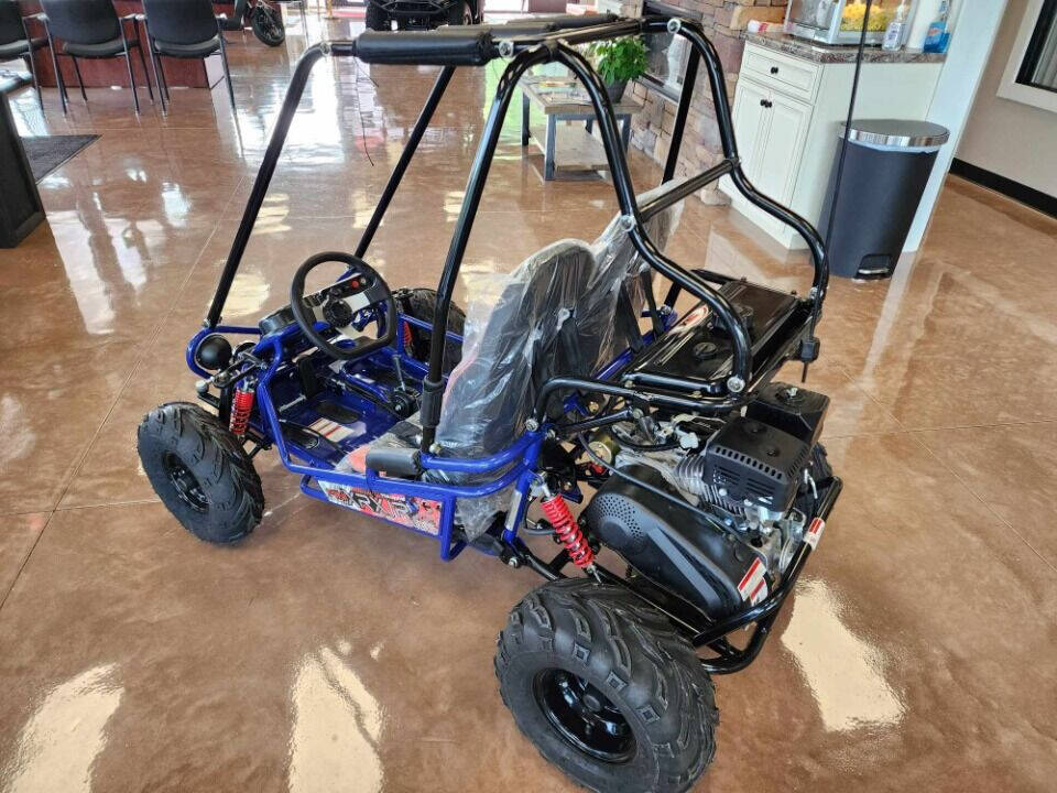 2024 TrailMaster Eagle Mini XRXR for sale at Auto Energy in Lebanon, VA