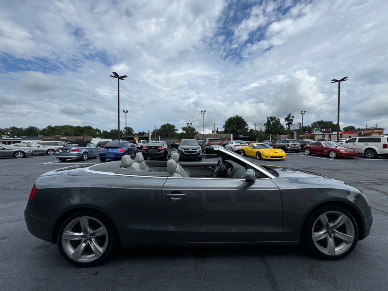 2013 Audi A5 for sale at Opus Motorcars in Utica, MI