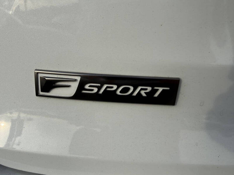 2019 Lexus NX 300 F SPORT