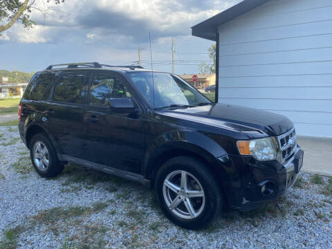 2010 Ford Escape Limited