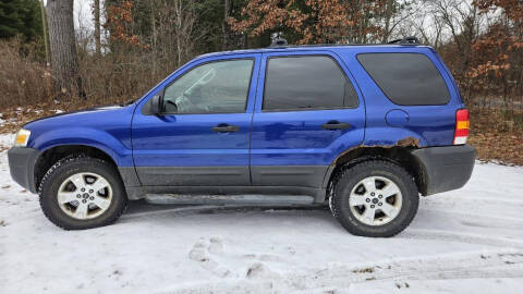 2005 Ford Escape for sale at Expressway Auto Auction in Howard City MI