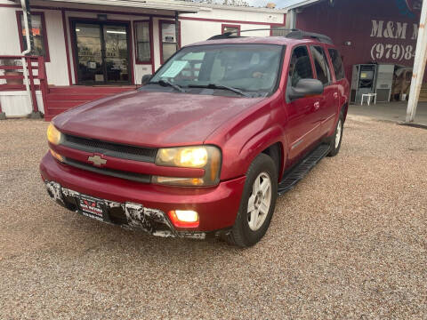 2003 Chevrolet TrailBlazer for sale at M & M Motors in Angleton TX