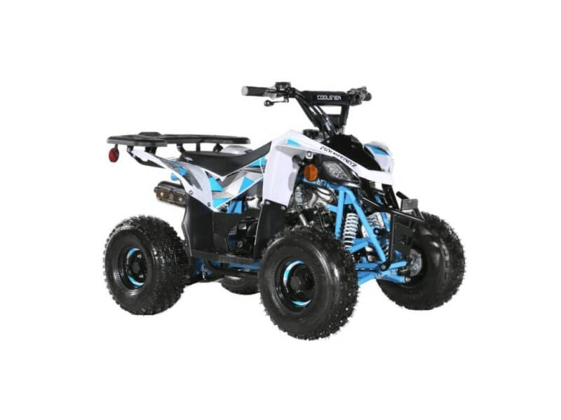 2025 Coolster 110cc 3050B2