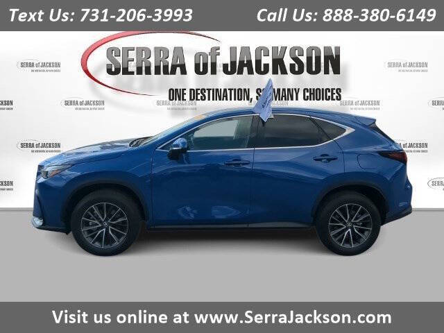 2025 Lexus NX 250