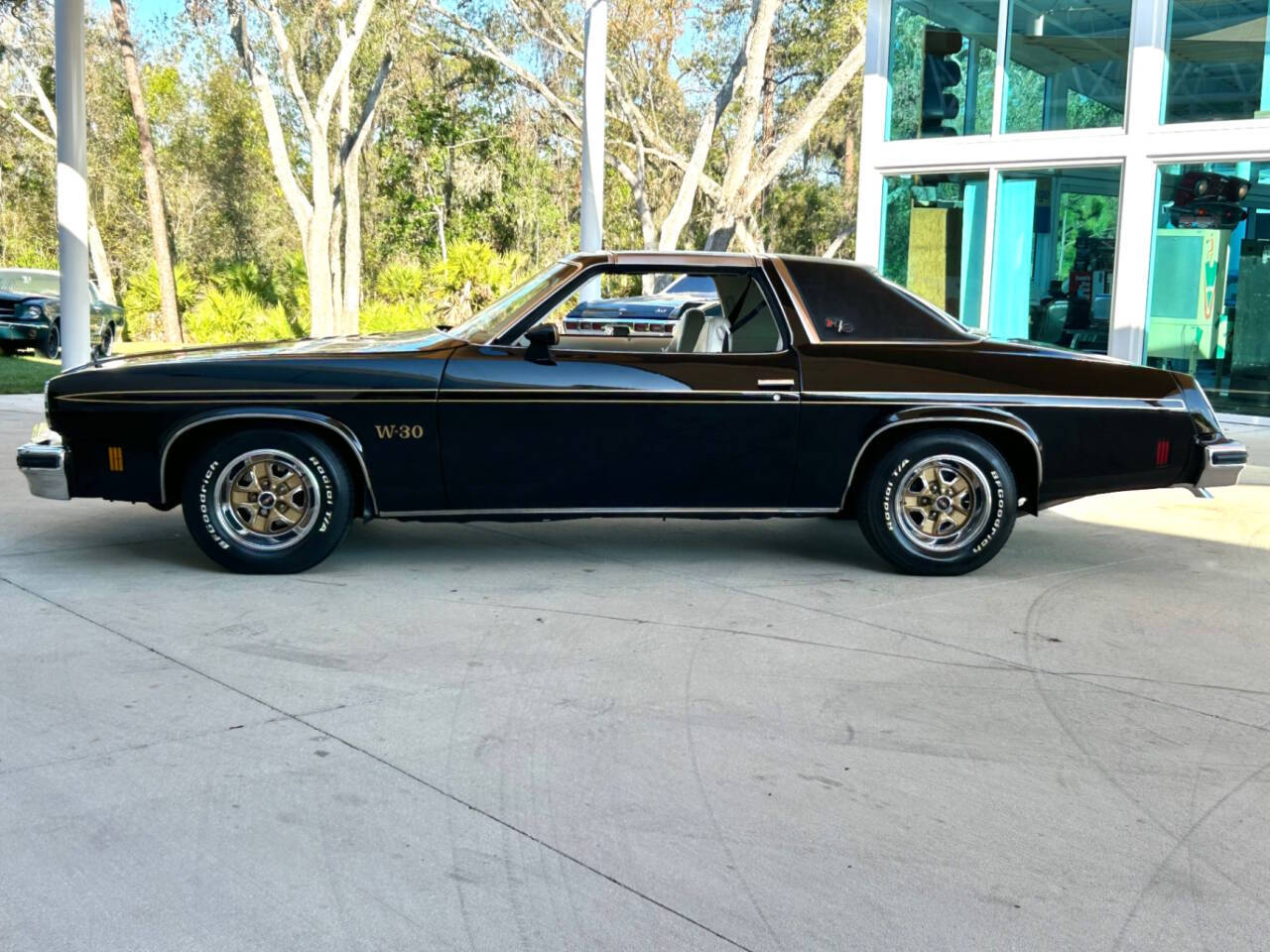 1975 Oldsmobile Cutlass 8