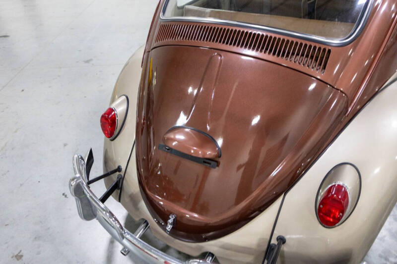 1965 Volkswagen Beetle
