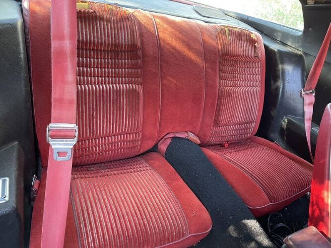 1981 Pontiac Firebird Espirit