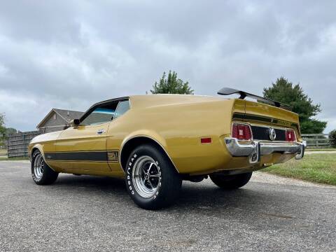 1973 Ford Mustang for sale at 500 CLASSIC AUTO SALES in Knightstown IN