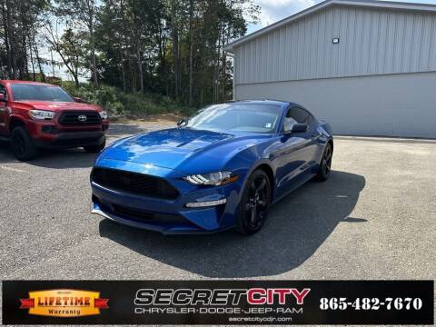 2023 Ford Mustang for sale at SCPNK in Knoxville TN