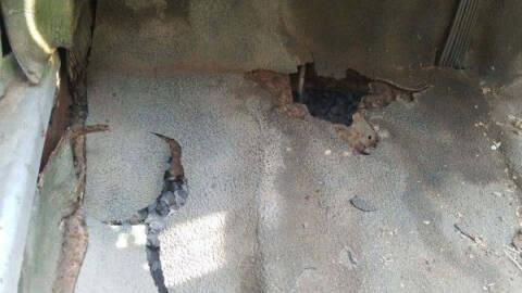 1960 Chevrolet Corvair