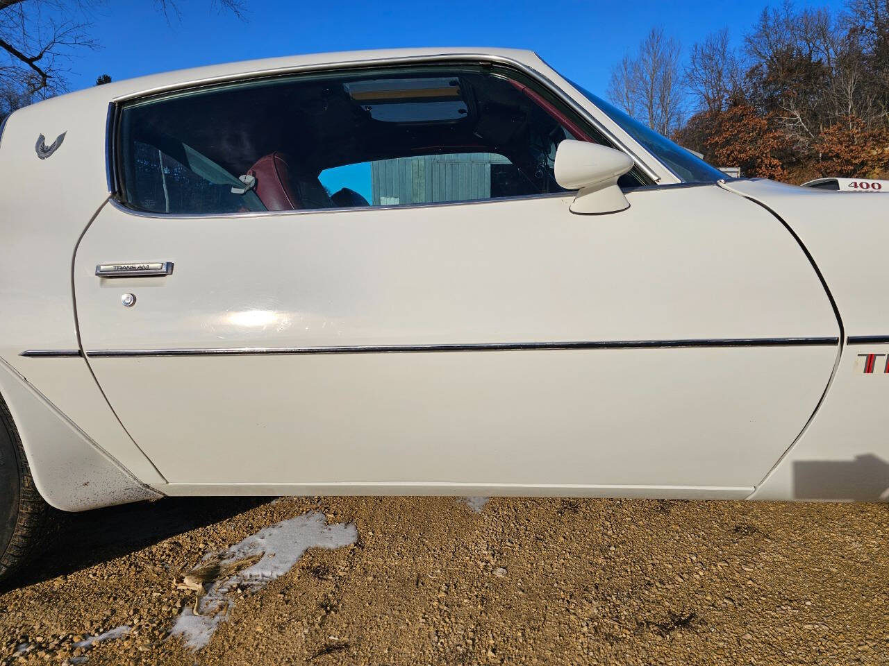 1976 Pontiac Trans Am 100