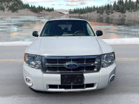 2009 Ford Escape XLT