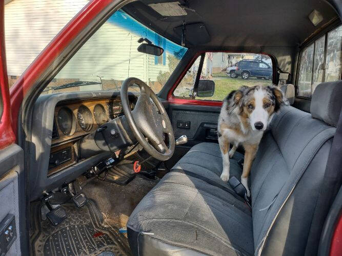 1992 Dodge D250 Pickup