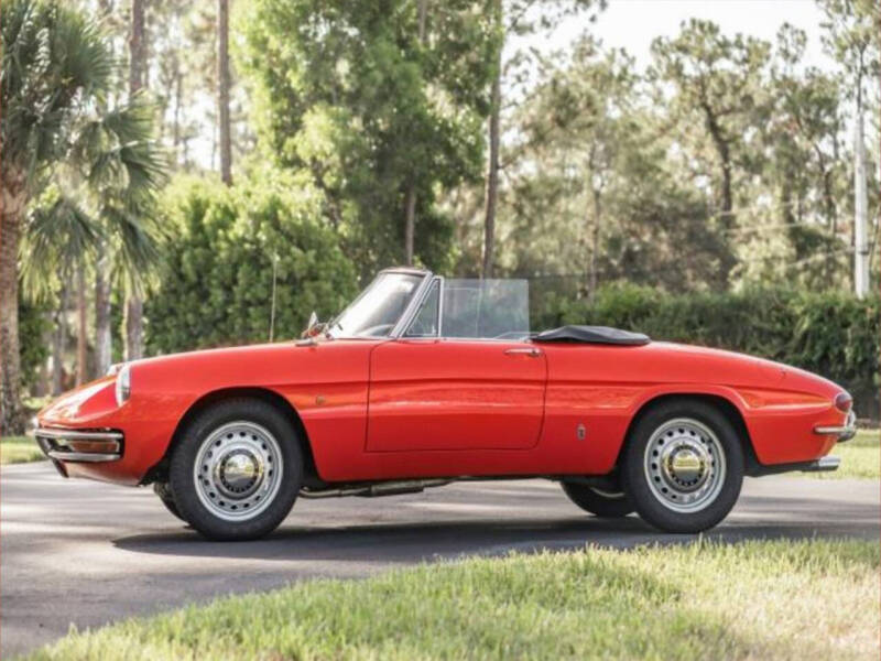 1966 Alfa Romeo Spider