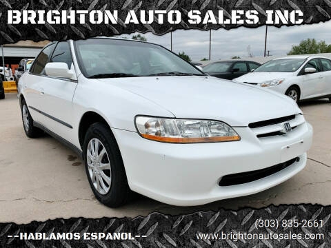 1998 Honda Accord for sale at BRIGHTON AUTO SALES INC in Brighton CO