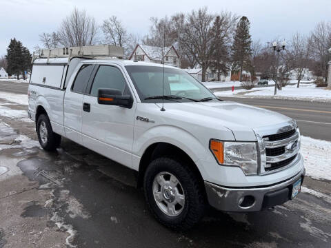 2014 Ford F-150 for sale at REECIA MOTORS LLC in Cambridge MN