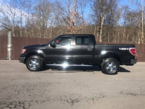 2014 Ford F-150 for sale at BARD'S AUTO SALES in Needmore PA