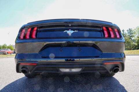 2019 Ford Mustang