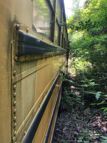 2001 International 3000IC