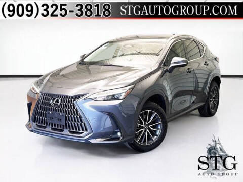 2024 Lexus NX 250