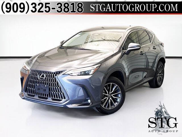 2024 Lexus NX 250