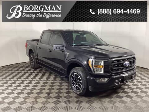 2021 Ford F-150 for sale at BORGMAN OF HOLLAND LLC in Holland MI