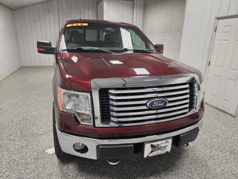 2010 Ford F-150 for sale at LaFleur Auto Sales in North Sioux City SD