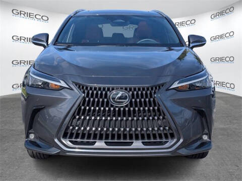 2025 Lexus NX 250 Premium