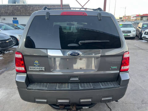 2011 Ford Escape Limited