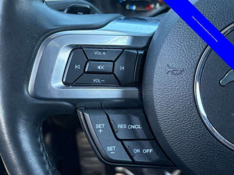 2021 Ford Mustang Mach 1