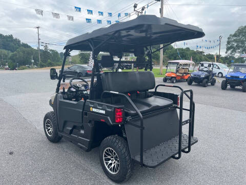 2025 Massimo Buck 250X Golf