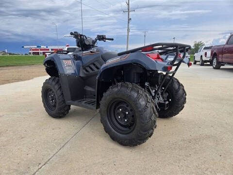 2025 Kawasaki Brute Force™