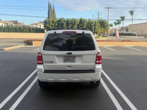 2010 Ford Escape XLT