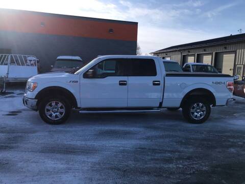 2010 Ford F-150 for sale at Crown Motor Inc in Grand Forks ND