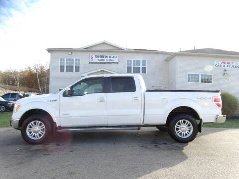 2011 Ford F-150 for sale at SOUTHERN SELECT AUTO SALES in Medina OH