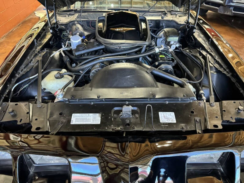 1981 Pontiac Firebird Trans Am