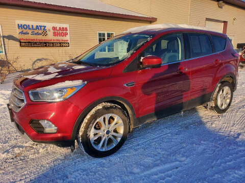 2019 Ford Escape for sale at Hollatz Auto Sales in Parkers Prairie MN