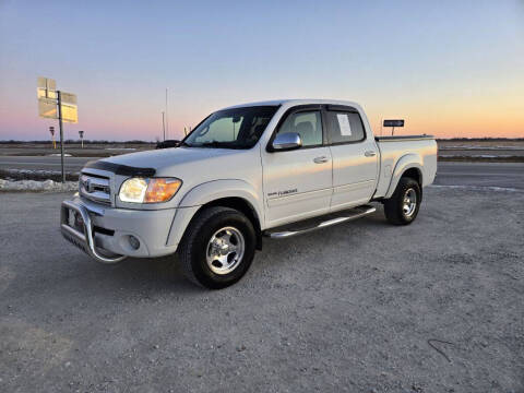 2006 Toyota Tundra for sale at McEwen Auto Sales in Anabel MO