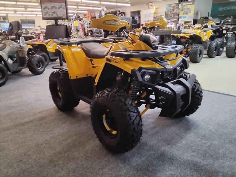 2025 Denago MUDHAWK 10FI ATV